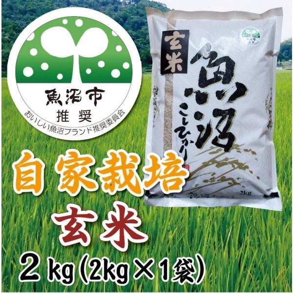 お米２ｋｇ ３０年産 魚沼産コシヒカリ玄米2.0kg  魚沼市推奨コシヒカリ 農家直送 安心安全
