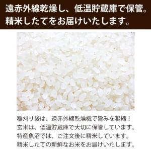 【農家直売】 無洗米10kg 無洗米 令和7年...の詳細画像4
