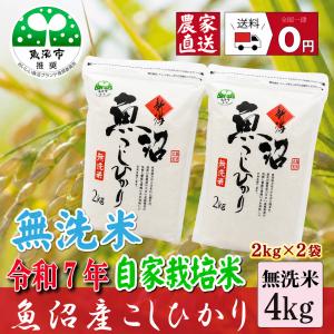 【農家直売】スタンドパック 無洗米4kg(2kg...の商品画像