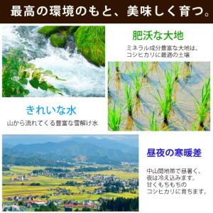 【農家直売】スタンドパック 無洗米4kg(2k...の詳細画像2