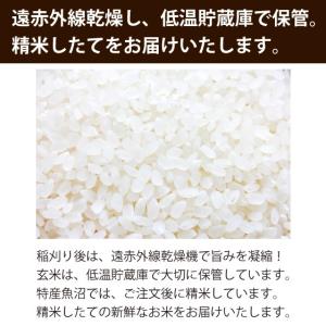【農家直売】スタンドパック 無洗米4kg(2k...の詳細画像5