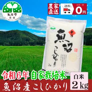 【農家直売】 令和5年産 お米２ｋｇ  魚沼産コシヒカリ　2kg 精米 魚沼市推奨コシヒカリ 農家直送 安心安全｜tokusanuonuma