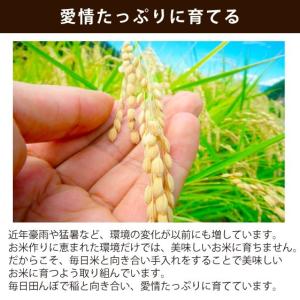 【農家直売】 お米10kg 白米 令和7年産 ...の詳細画像4