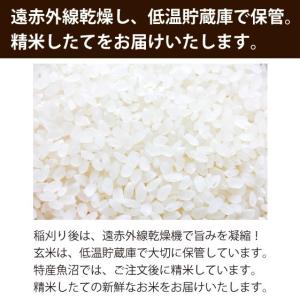 【農家直売】 お米10kg 令和7年産 魚沼産...の詳細画像5