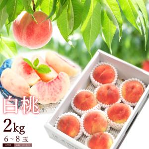 送料無料 白桃 約2kg(6〜9玉前後)秀品 ※桃、もも、モ...