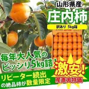 送料無料　訳あり庄内柿　5kg前後  サイズ混合　※山形県産、種なし柿、カキ 早期予約受付開始