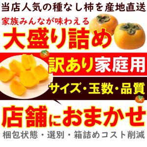 【11月上旬頃からご注文順次出荷】山形県産 訳...の詳細画像1