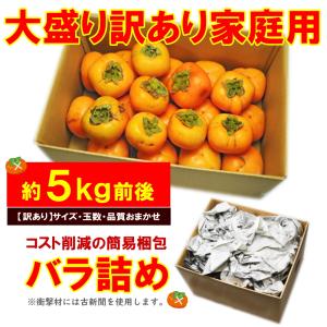 【11月上旬頃からご注文順次出荷】山形県産 訳...の詳細画像2