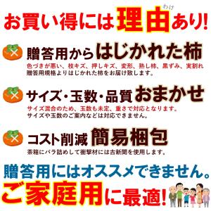 【11月上旬頃からご注文順次出荷】山形県産 訳...の詳細画像3