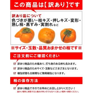 【11月上旬頃からご注文順次出荷】山形県産 訳...の詳細画像4
