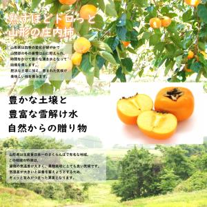 【11月上旬頃からご注文順次出荷】山形県産 訳...の詳細画像5