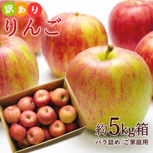 訳あり サンふじ 約5kg前後 バラ詰め ご家庭用※玉数未定、サイズ混合、キズ、多少の痛みあり、林檎、りんご、リンゴ、ふじ、フジ 爆買