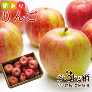 訳あり サンふじ 約3kg前後 バラ詰め ご家庭用※玉数未定、サイズ混合、キズ 、 多少の痛みあり、林檎、りんご、リンゴ、ふじ、フジ 爆買