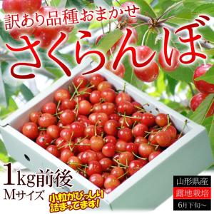 さくらんぼ 佐藤錦 紅秀峰 など 品種おまかせ 山形県産 訳あり 約1kg バラ直詰め Мサイズ 家...