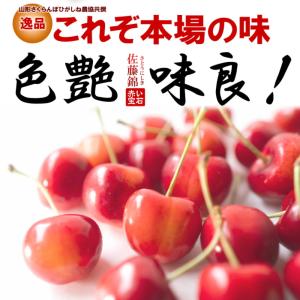 さくらんぼ 佐藤錦 ギフト化粧箱 手詰め 24...の詳細画像1