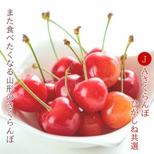 さくらんぼ 佐藤錦 ギフト化粧箱 手詰め 24...の詳細画像4
