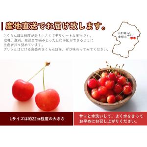 さくらんぼ 佐藤錦 ギフト化粧箱 手詰め 24...の詳細画像5