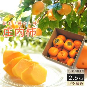 【10月下旬から順次出荷】山形県産 訳あり 柿 庄内柿 2.5kg バラ詰め お試し用　サイズ・玉数・品質おまかせ