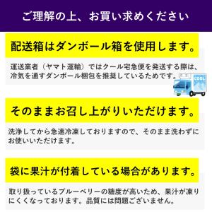 冷凍ブルーベリー 約1kg 冷凍 フルーツ ア...の詳細画像4