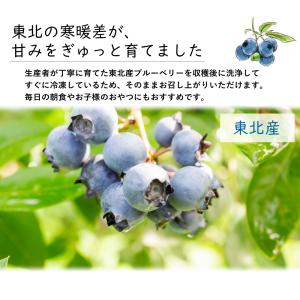 冷凍ブルーベリー 約1kg 冷凍 フルーツ ア...の詳細画像5