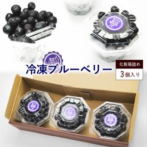 数量限定】冷凍ブルーベリー（大粒オーガニックブルーベリー 300g