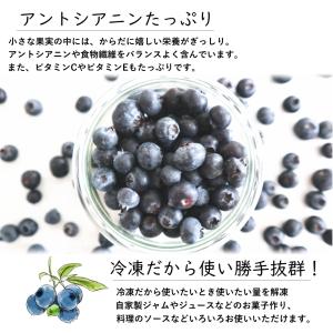 冷凍 ブルーベリー 約600g (100g×6...の詳細画像1
