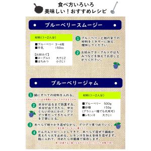 冷凍 ブルーベリー 約600g (100g×6...の詳細画像3