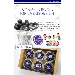 冷凍 ブルーベリー 約600g (100g×6...の詳細画像4