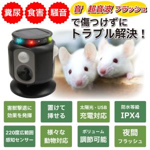 2台セット 猫よけ対策 最強 庭 駐車場 撃退...の詳細画像4