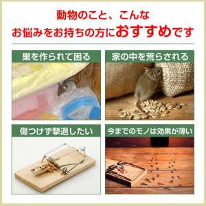 ネズミ撃退 撃退器 360度 120平方メート...の詳細画像2