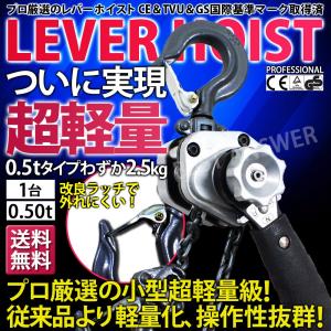 チェーンブロック 500kg 360度回転 3m 小型 手動式 グレード100 0.5t