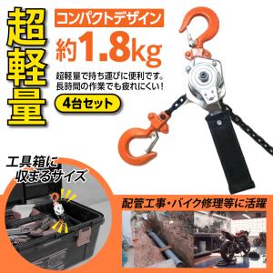 TRUSCO トラスコ レバーホイスト TLH-025 自動空転式 0.25t 揚程1.0m