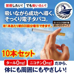 お手軽禁煙スティック2 使い捨て 2箱 10本 使いきり タバコ風味 メンソール｜tokusen-kan