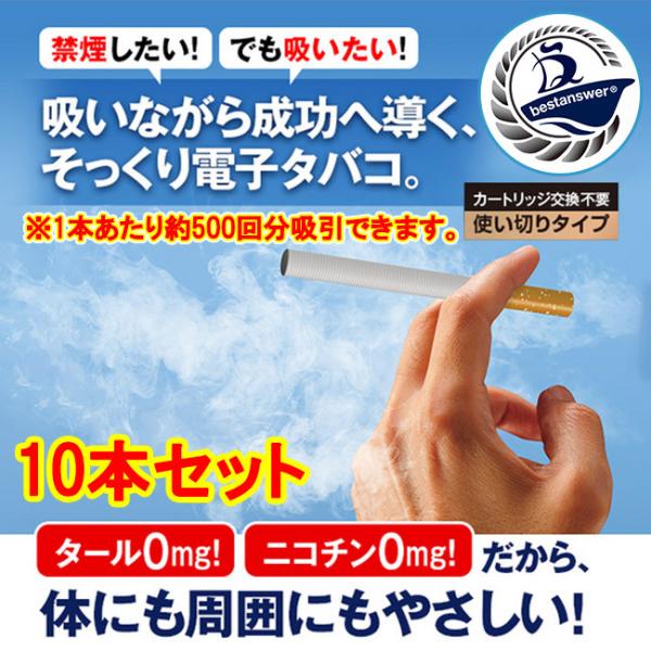 お手軽禁煙スティック2 使い捨て 2箱 10本 使いきり タバコ風味 メンソール