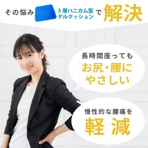2枚セット ジェルクッション 座布団 カバー付...の詳細画像2