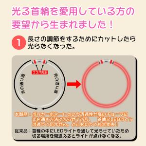 首輪 光る led ライト 犬 レインボー 夜...の詳細画像1