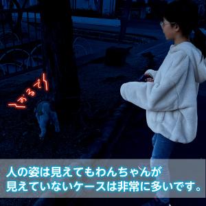 犬 ペット 夜 光る 散歩 ライト お散歩ライ...の詳細画像2
