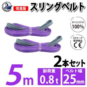 2本セット スリングベルト 5m 800kg 幅 25mm ベルトスリング 玉掛け 引っ越し 吊り具 荷重表 種類 運搬用ベルト 運搬用スリング 吊具 爆買
