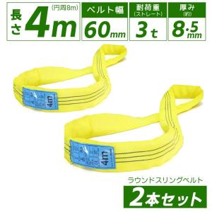 2本セット スリングベルト エンドレスタイプ 2m 3000kg 引っ越し 吊り