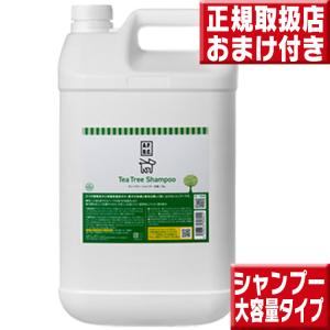選べるおまけ付】APDC ティーツリーシャンプー 5L 業務用
