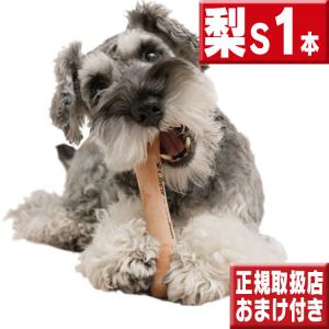 chew 梨 Ｓ１本 犬 おもちゃ 噛む 骨型