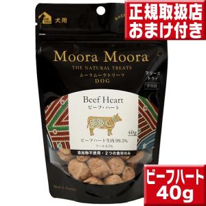 NUTRI BITES フリーズドライサーモン 犬猫用510g 1805224 オメガ3 100