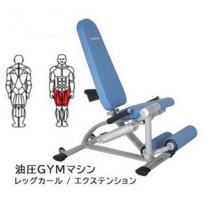 ダイコウ/DAIKOU レッグカール/エクステンション  油圧GYMマシン 準業務用】DK-677 ヒップアップ 膝痛改善 大腿四頭筋 筋トレ リハビリ デイサービス 、リハビリ｜tokusenya