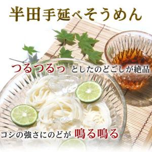 10%OFF!半田そうめん 3kg 送料無料 ...の詳細画像4