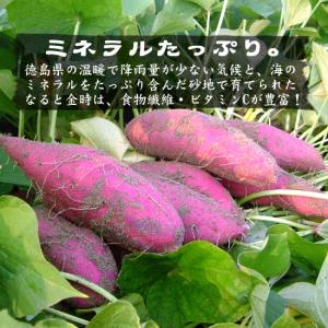 さつまいも なると金時 5kg ふぞろい 送料...の詳細画像2