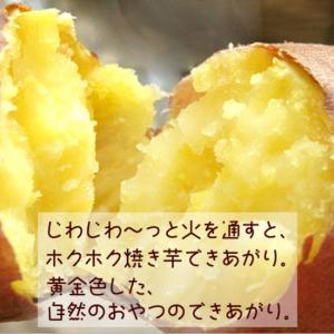 さつまいも なると金時 5kg ふぞろい 送料...の詳細画像3