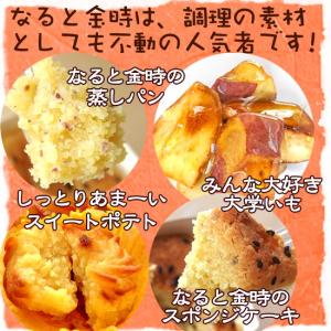 さつまいも なると金時 5kg ふぞろい 送料...の詳細画像4