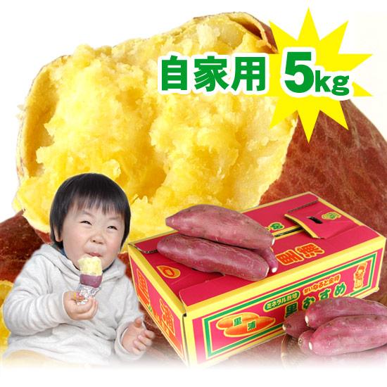 10％OFF！さつまいも なると金時 トップブランド 里むすめ 5kg 自家用 送料無料 人気のMま...