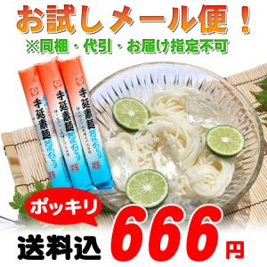 青切り シークヮーサー100（500ml）【12本セット】 沖縄特産販売