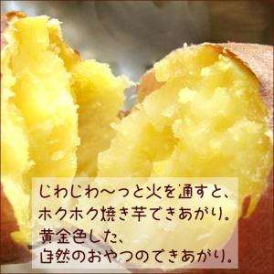 今季収穫分さつまいも なると金時 3kg 秀品...の詳細画像1